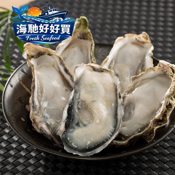 日本兵庫生食生蠔(1Kg約9-11顆)