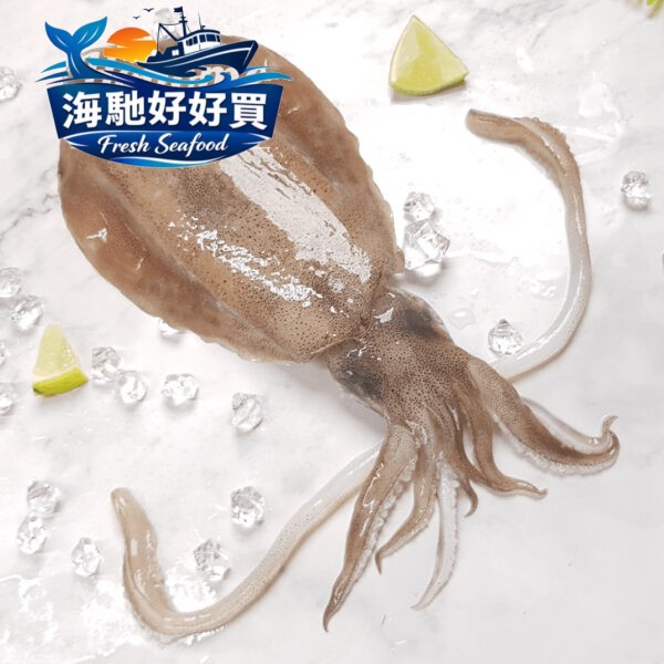 5A生食級軟絲(1000g)