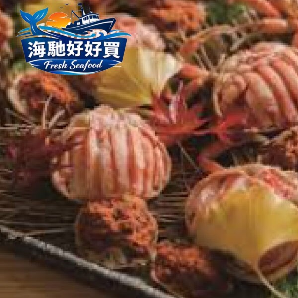 北海道香箱蟹（雙入禮盒）