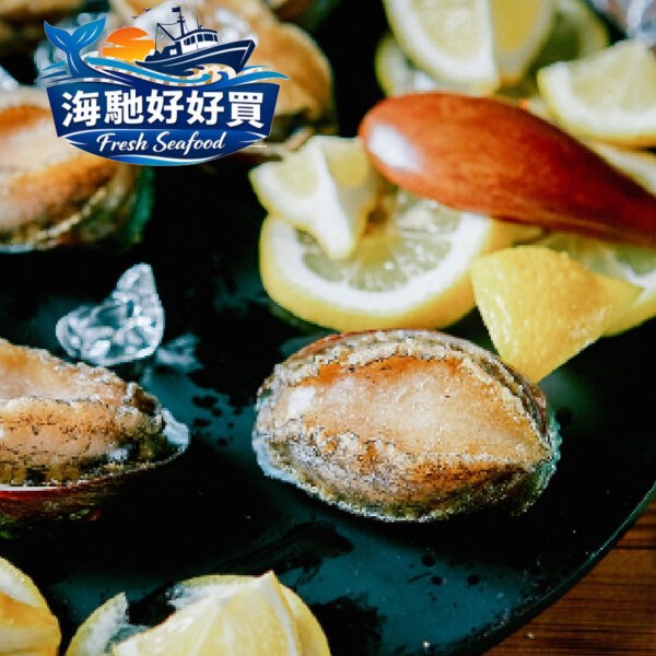 活凍帶殼野生鮑魚