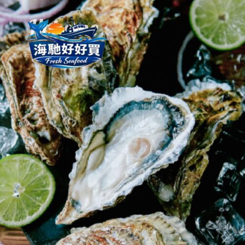 日本生食級頂級生蠔