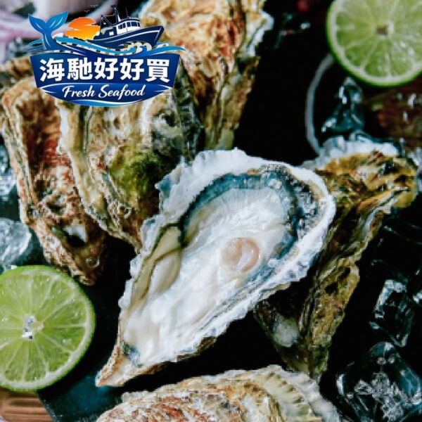 日本生食級頂級生蠔