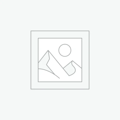 日本生蠔（鮮剝）